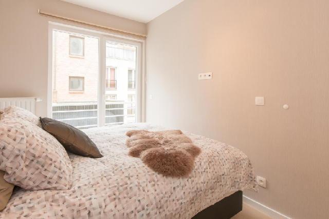 Apartment Prachtig Zeezicht